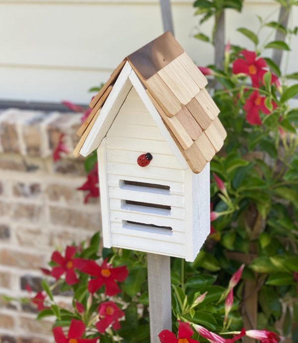 Lady Bug Loft