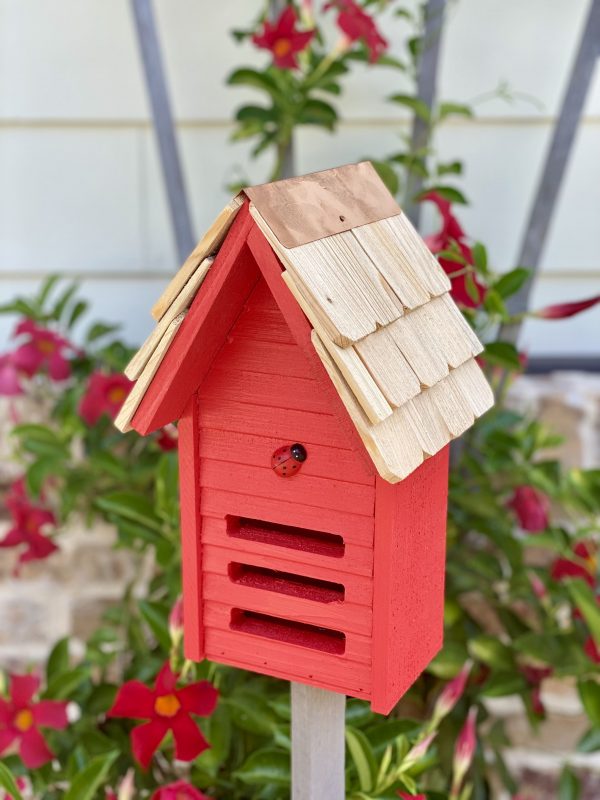 Lady Bug Loft - Image 2