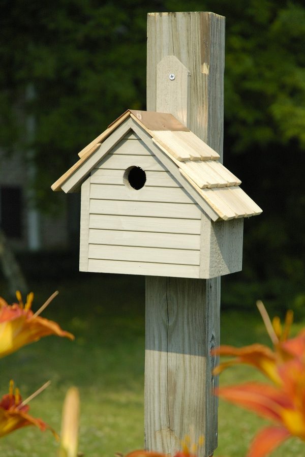 Cape Cod Wren House - Image 2