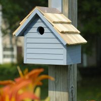 Cape Cod Wren House
