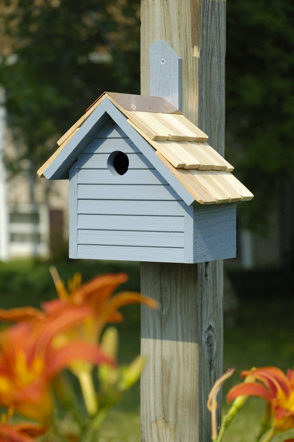 Cape Cod Wren House