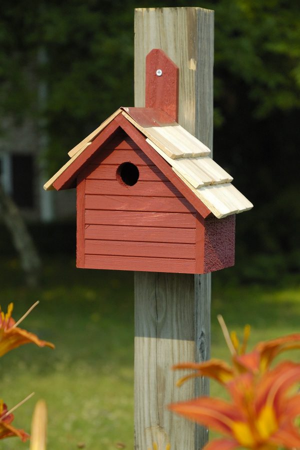 Cape Cod Wren House - Image 3