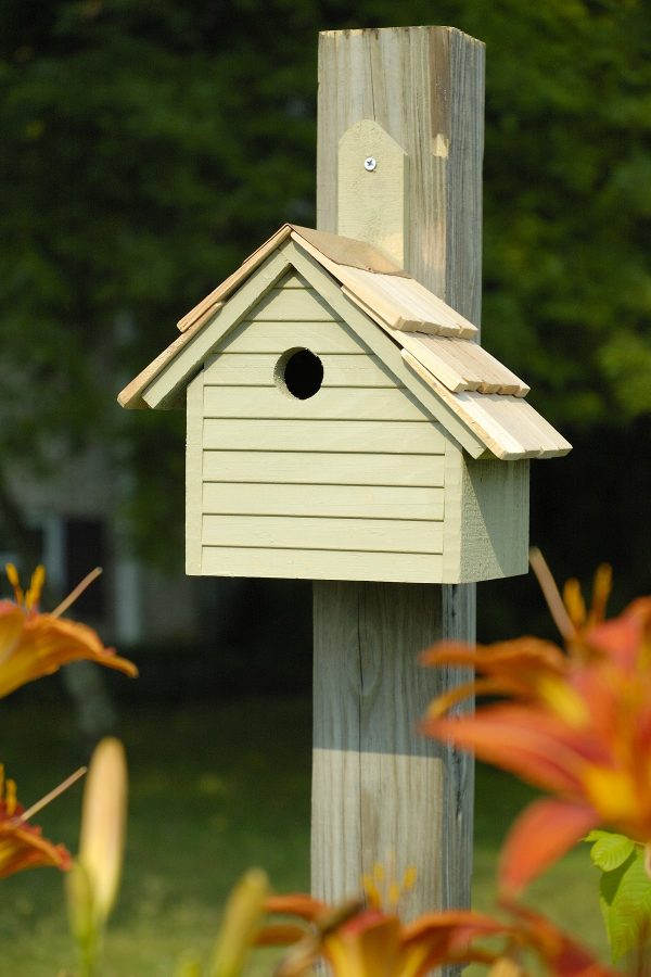 Cape Cod Wren House - Image 4
