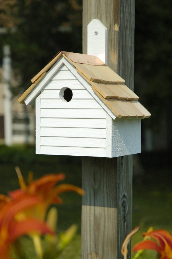 Cape Cod Wren House - Image 5