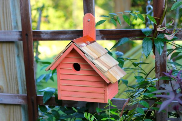 Cape Cod Wren House - Image 6