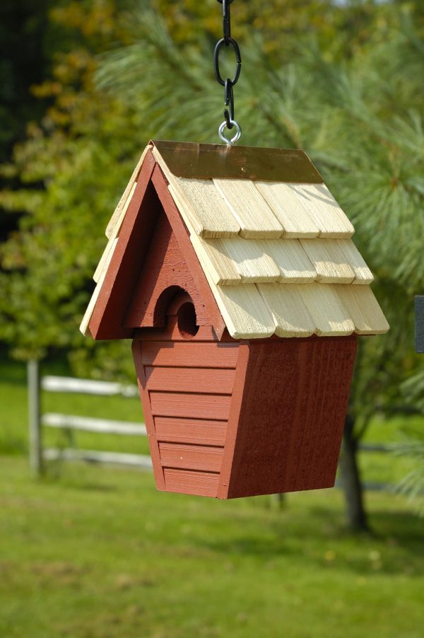 Wren-In-The-Wind - Image 3
