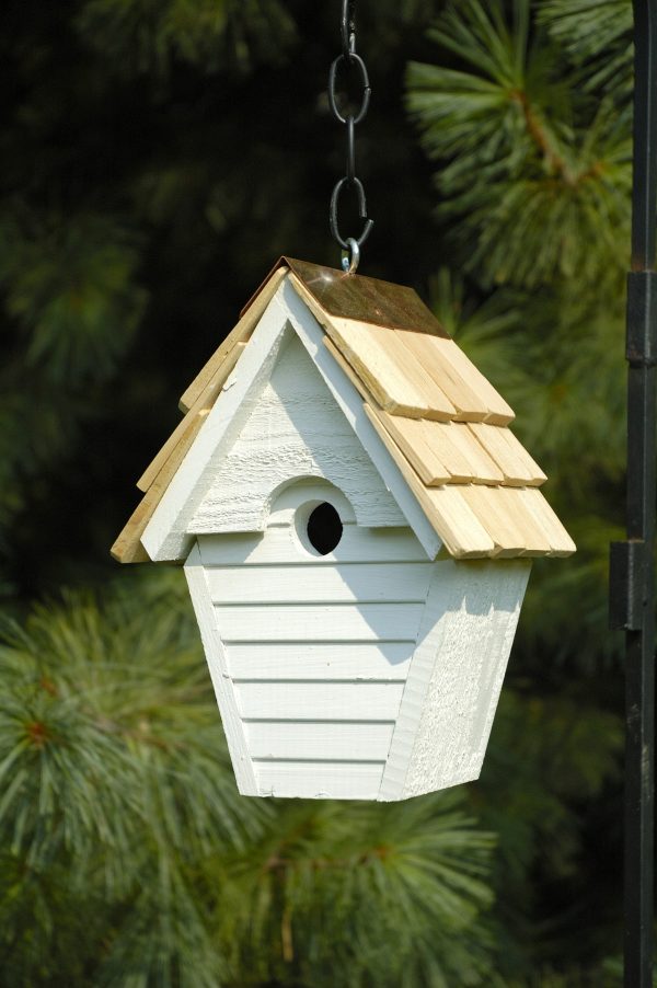 Wren-In-The-Wind - Image 2