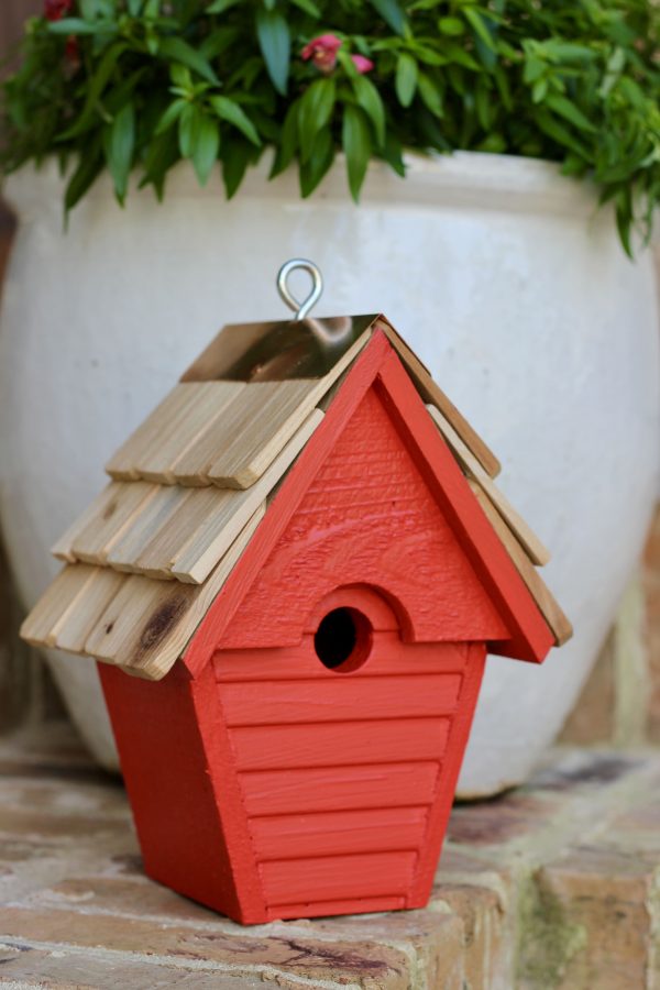 Wren-In-The-Wind - Image 4