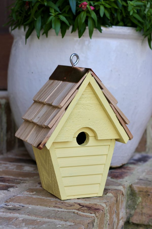 Wren-In-The-Wind - Image 5