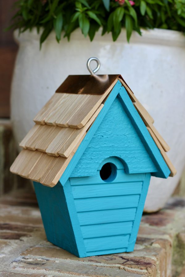 Wren-In-The-Wind - Image 6