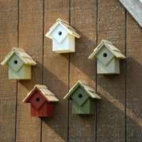 Summer Home - Traditional Prepack (5)