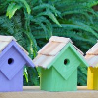 Summer Home - Beach House Prepack (5)