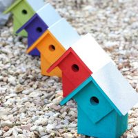 Summer Home - Neon Lites Assorted Colors Prepack (5)