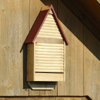 Bat Lodge