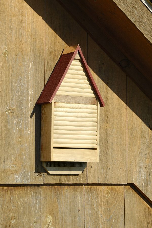 Bat Lodge