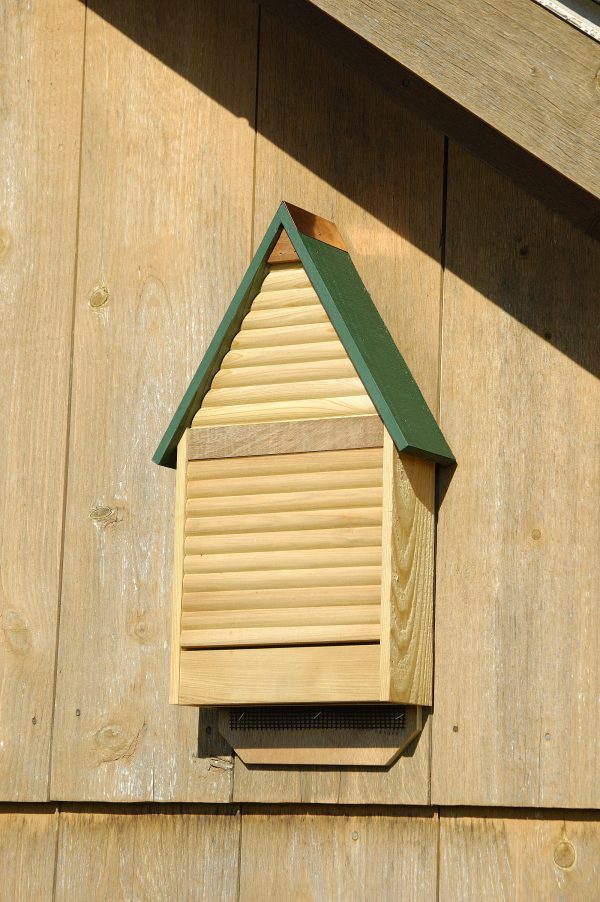 Bat Lodge - Image 2