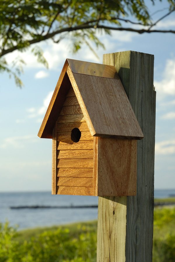 Starter Home