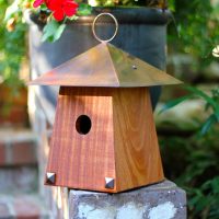 Avian Bungalow