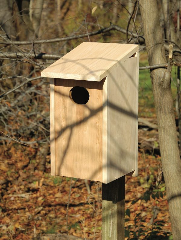 Wood Duck Joy Box