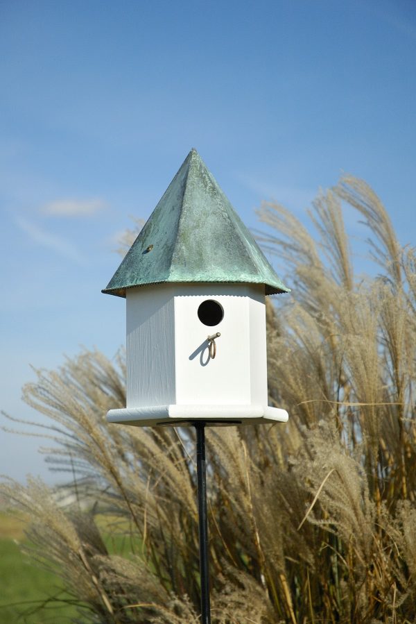 Copper Songbird Deluxe - Image 2