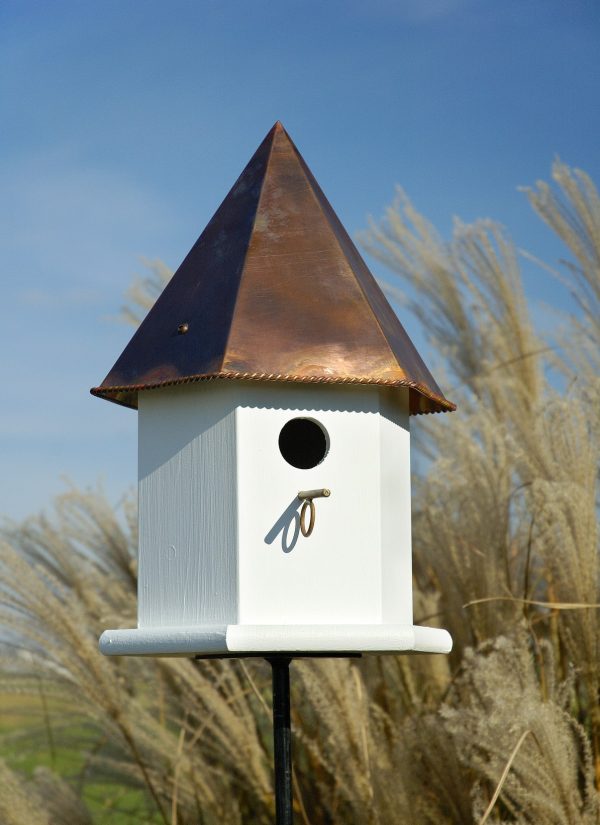 Copper Songbird Deluxe