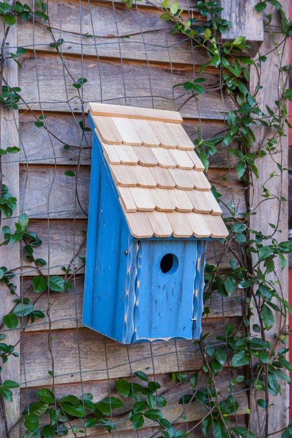 Bluebird Bunkhouse