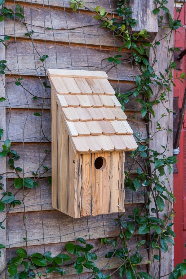 Bluebird Bunkhouse - Image 3