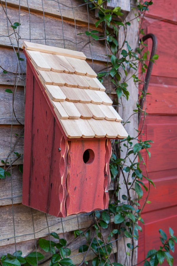 Bluebird Bunkhouse - Image 4