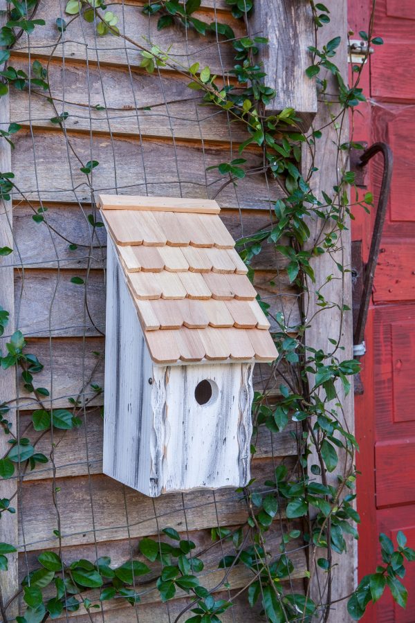 Bluebird Bunkhouse - Image 5