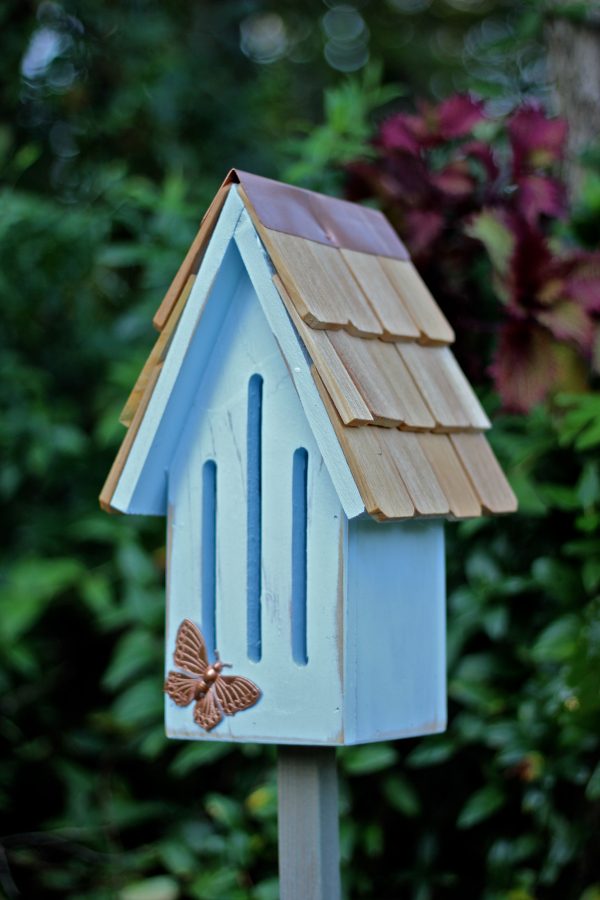 Butterfly Breeze