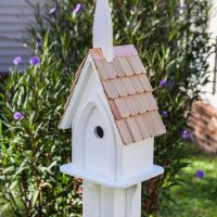 Parish Peep