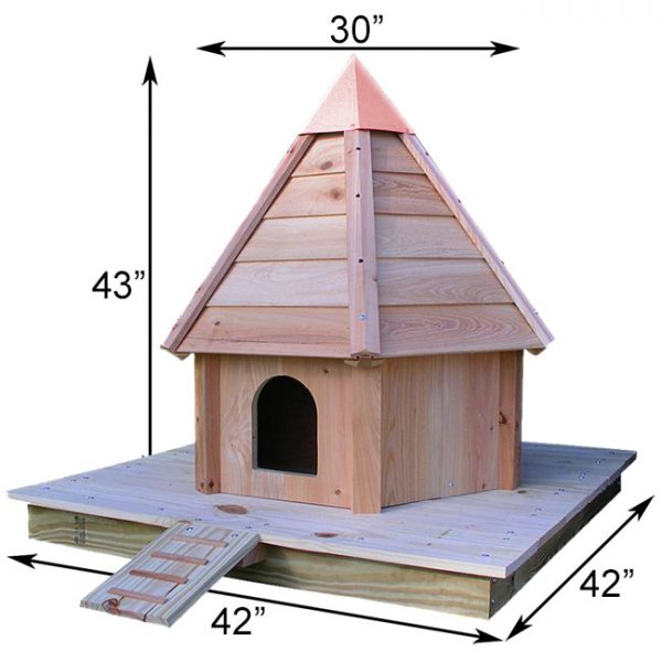 Aquaduck - Image 2