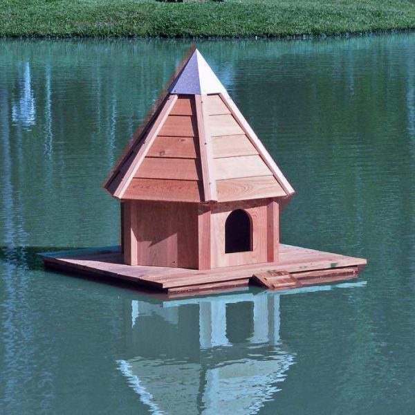 Aquaduck - Image 3