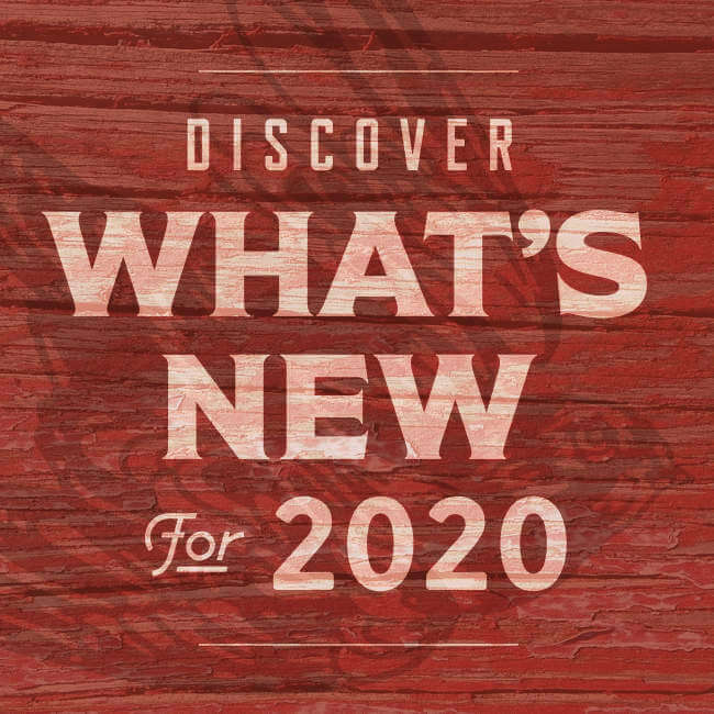 What's new for 2020