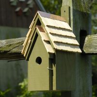 Bluebird Manor